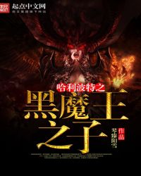 哈利波特之黑色羽翼小说